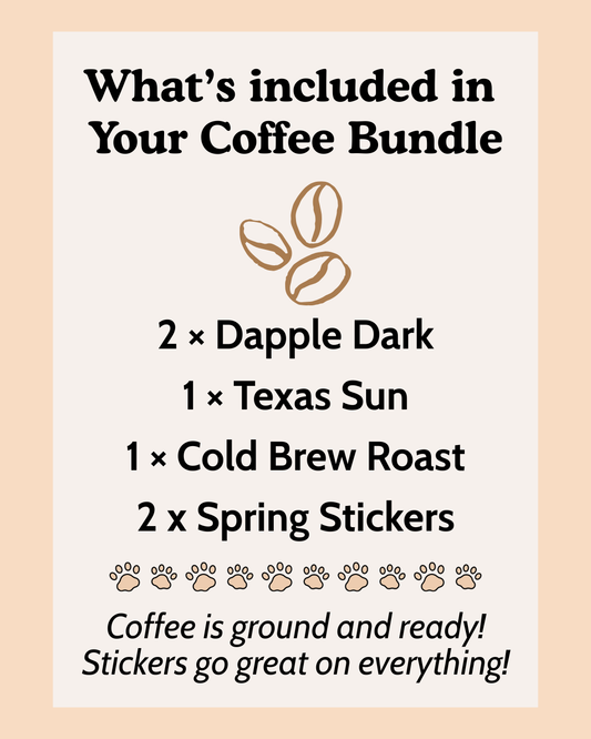 Signature Coffee Sample Pack (+ stickers!)